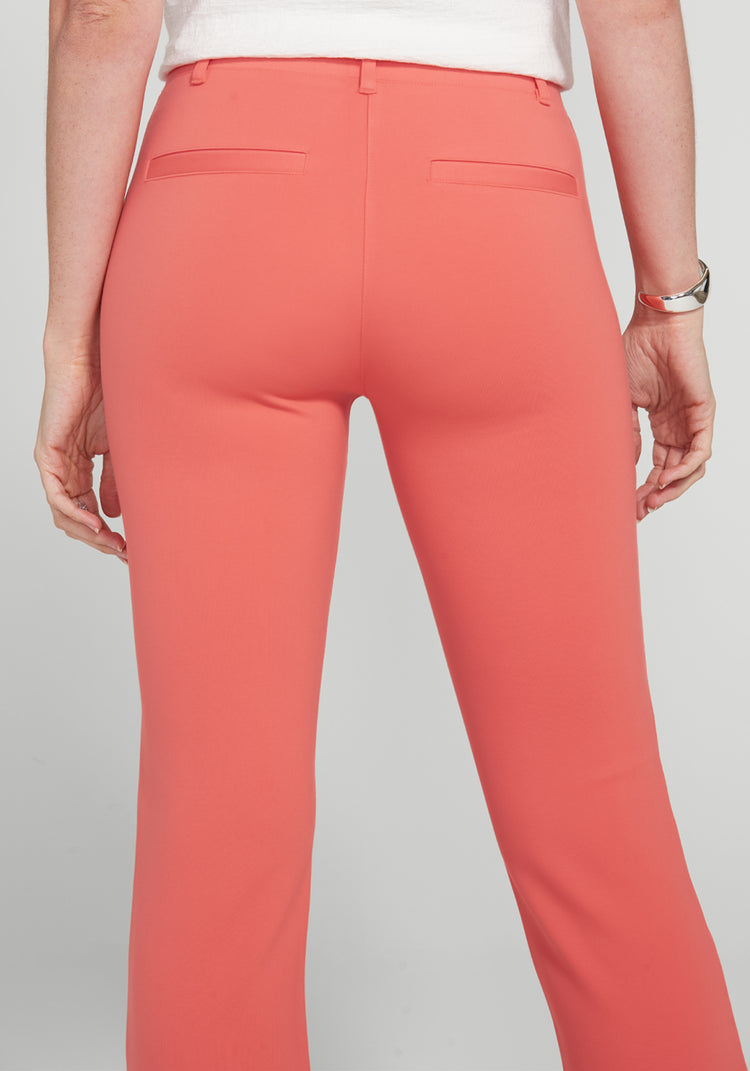 Classic Dress Pant Yoga Pant | Bootcut (Melon)